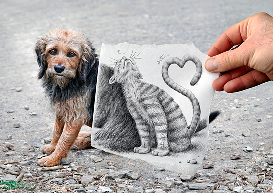 dog and cat l1 45 Visionary Examples of Creative Photography #8