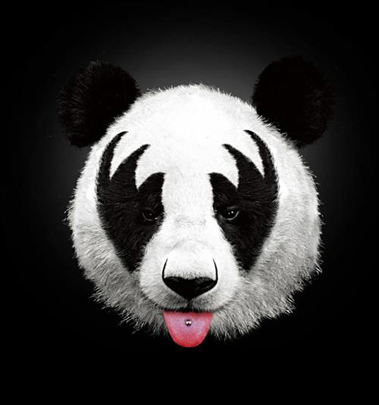 kiss panda by robert farkas l1 50 Visionary Examples of Creative Photography #9