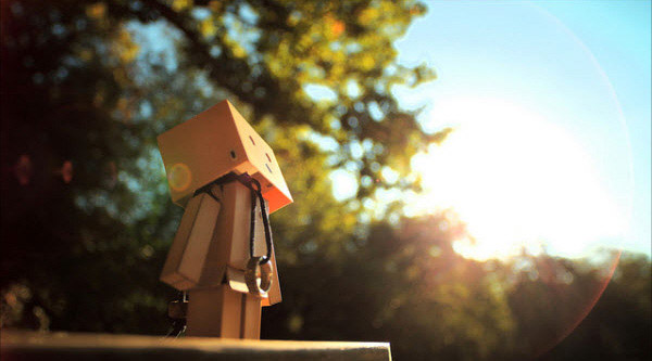 a sunny day 50 Adorable Photos of Danbo That Make you go Awww!