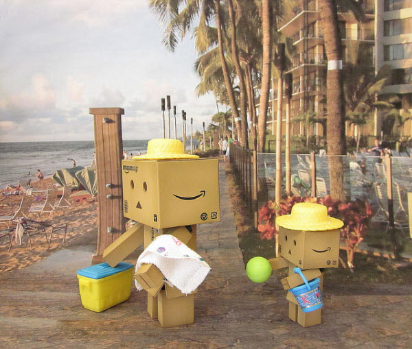 going to the beach 50 Adorable Photos of Danbo That Make you go Awww!