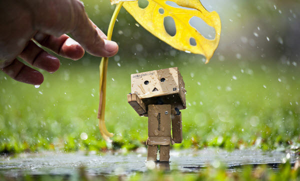helping hand 50 Adorable Photos of Danbo That Make you go Awww!