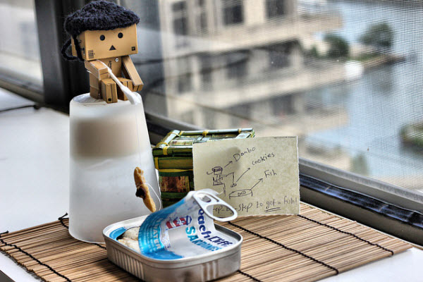 how to catch a fish 50 Adorable Photos of Danbo That Make you go Awww!