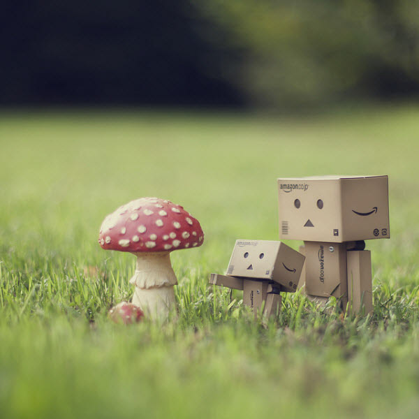 its mushroom 50 Adorable Photos of Danbo That Make you go Awww!
