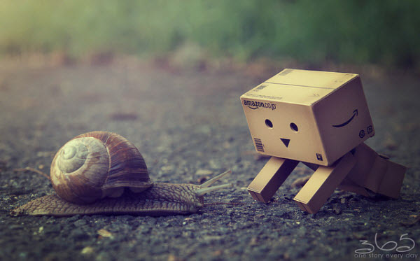 oh a snail 50 Adorable Photos of Danbo That Make you go Awww!