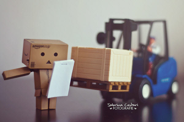 put here 50 Adorable Photos of Danbo That Make you go Awww!