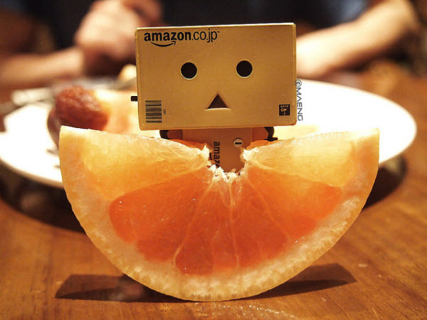sweet 50 Adorable Photos of Danbo That Make you go Awww!