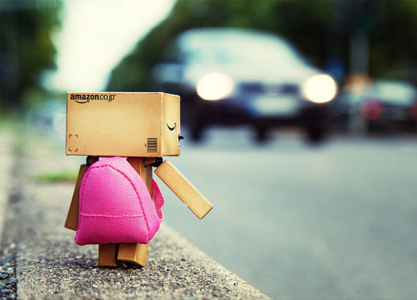 the hitchhiker 50 Adorable Photos of Danbo That Make you go Awww!