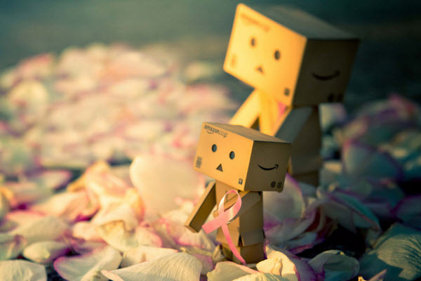 the hope 50 Adorable Photos of Danbo That Make you go Awww!