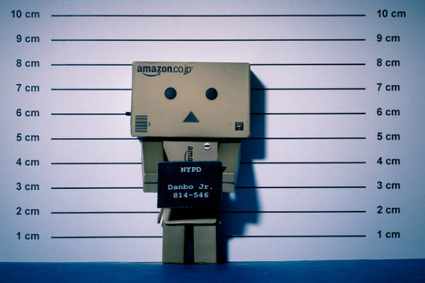 the suspect 50 Adorable Photos of Danbo That Make you go Awww!