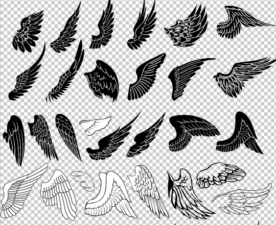  tribal tattoo wings various bird's wings and simple silhouettes