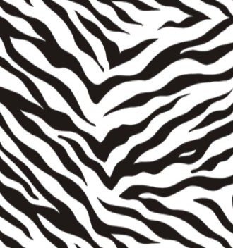 zebra pattern avatar