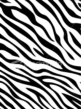 Zebra Stripe Stencil