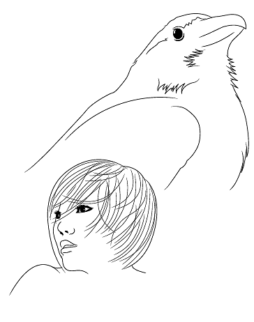 step12