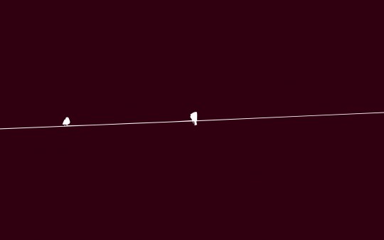 birds-on-a-wire
