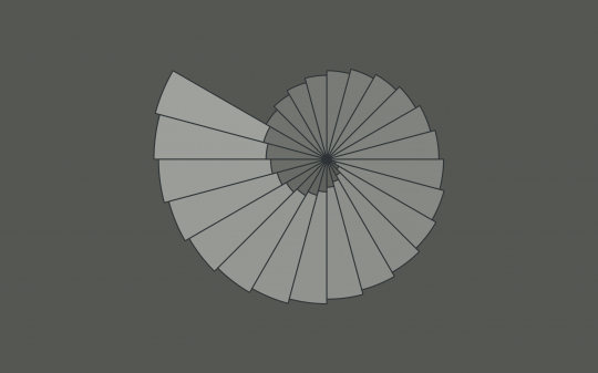 grey_nautilus