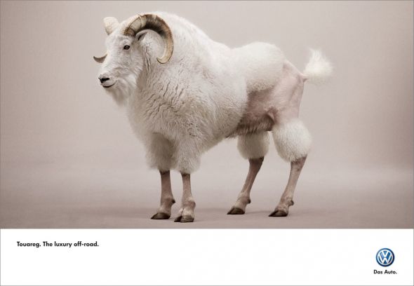 Volkswagen Touareg: Goat