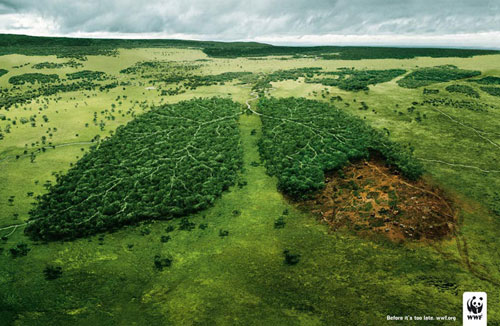 WWF Print Advertisement
