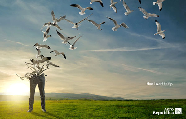 Seagulls Fly