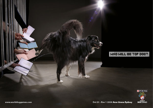 Autograph of dog