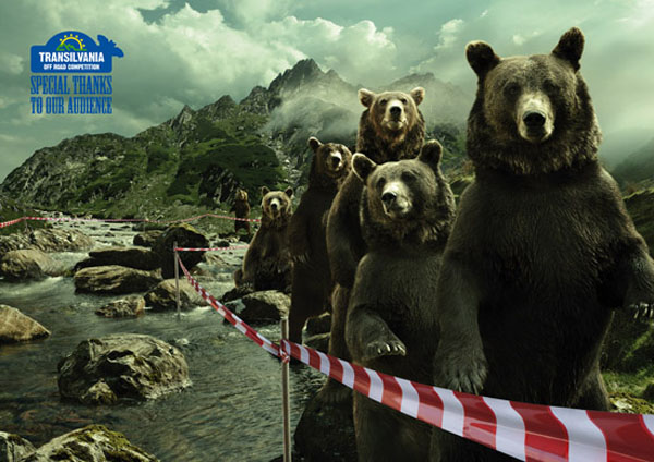 The Bears